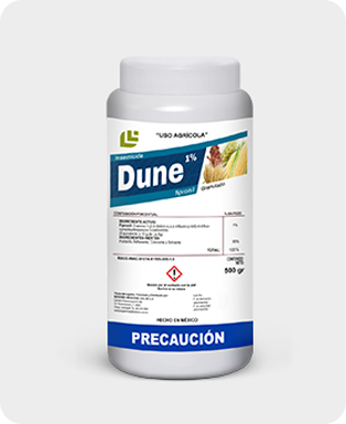Producto